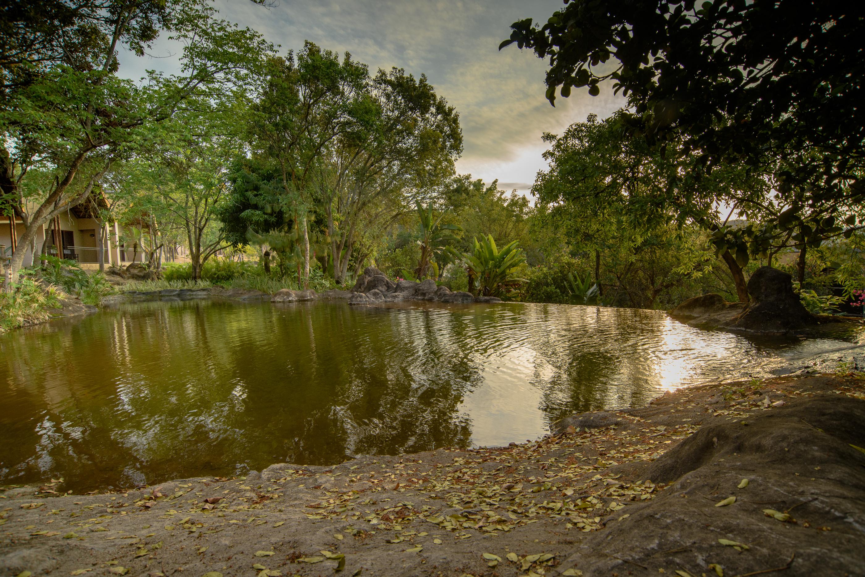 Umbhaba Eco Lodge Гейзівью Екстер'єр фото
